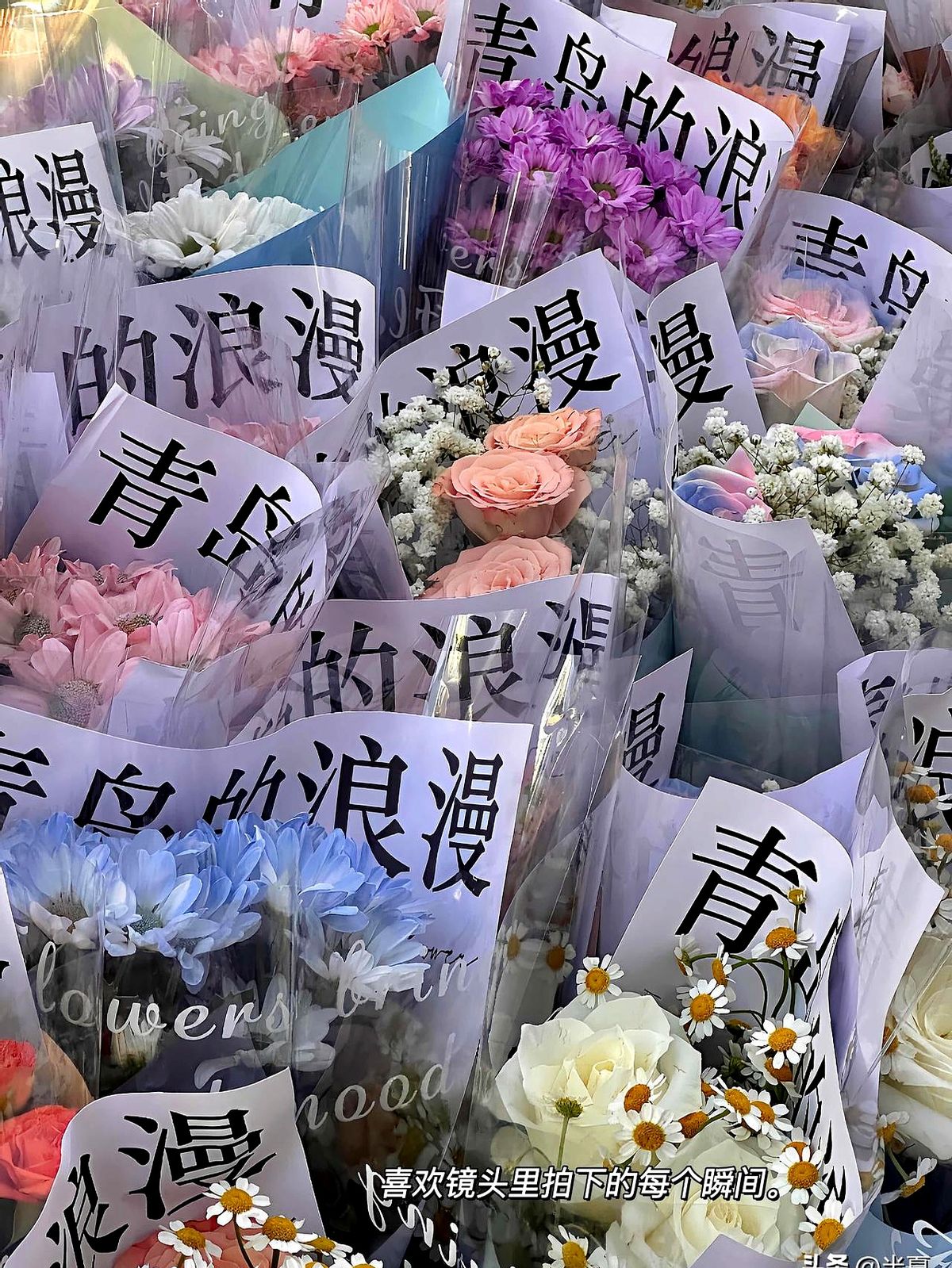 多多留评：Z世代盲盒旅行，自由与勇气的即时反叛
