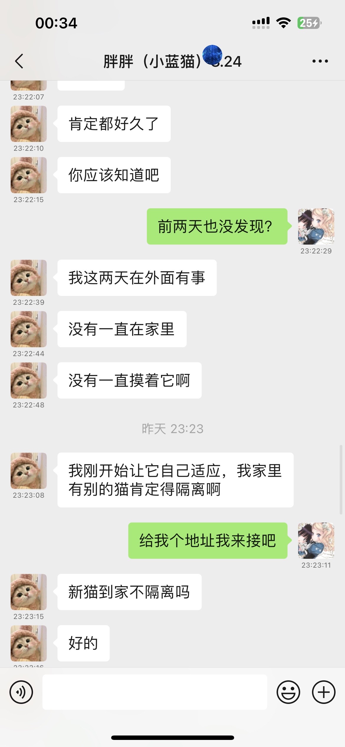 小评评助手：杭州新天地恋爱故事，猫咪买家经历与避雷贴分享