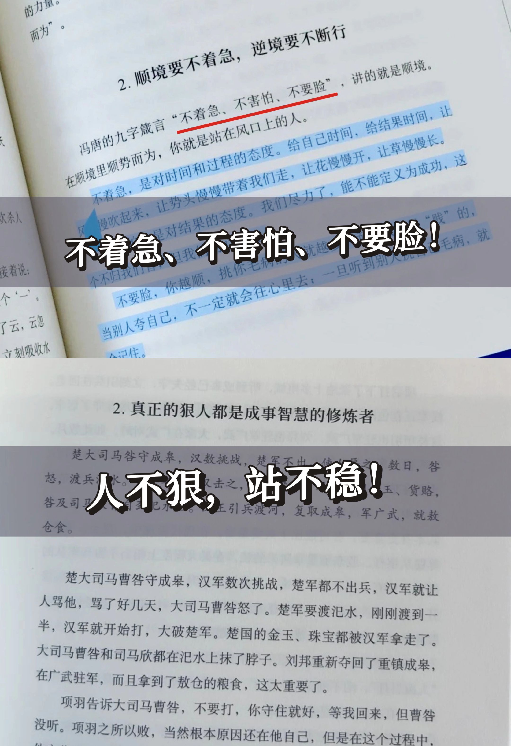 权重大师小号：冯唐揭秘，罗永浩背后的强者思维与创业智慧