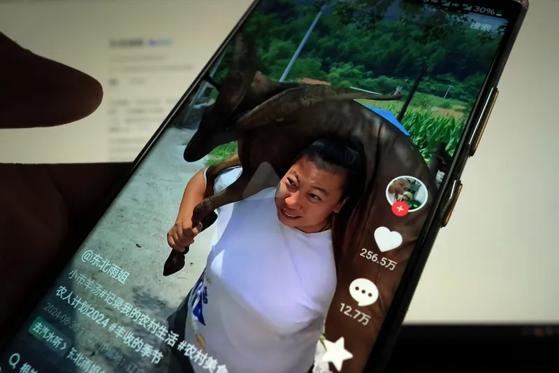 多多留评app：AI时代，普通人如何借助科技逆袭，实现创意与财富的双重丰收