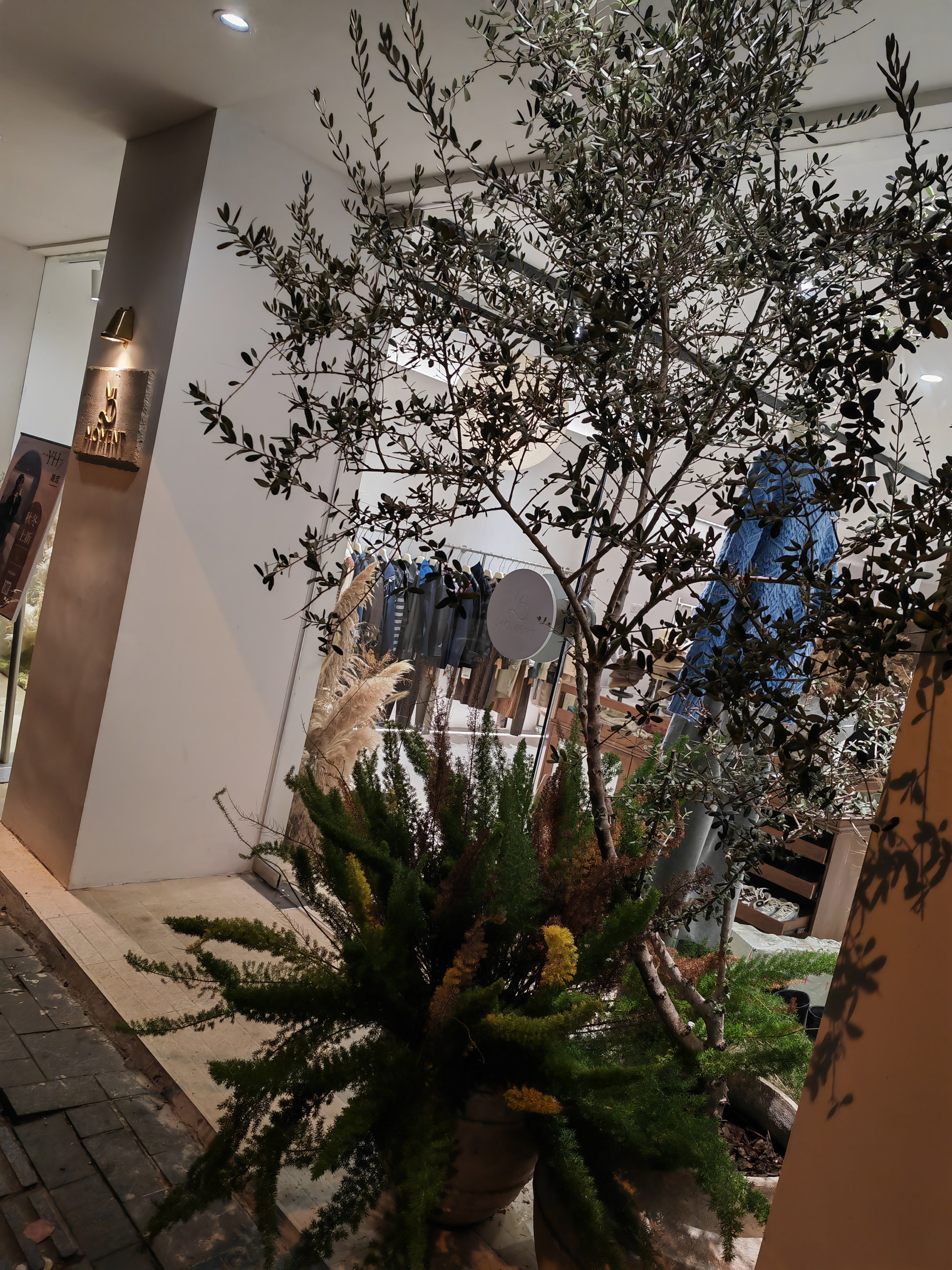 超评助手：街边小店的魅力，从时尚服装到个人情感的变迁