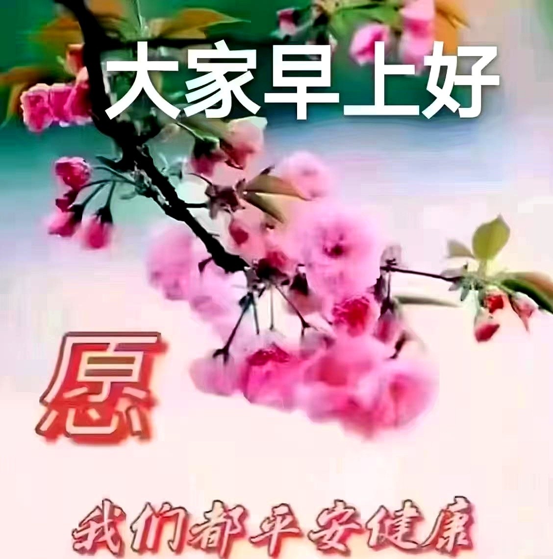 小R助手：清茶友情与快节奏生活，如何在忙碌中保持人与人之间的温暖连接