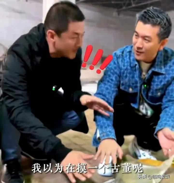 多多出评软件：杨子与李亚鹏，明星夫妻的商业表现与口碑分析