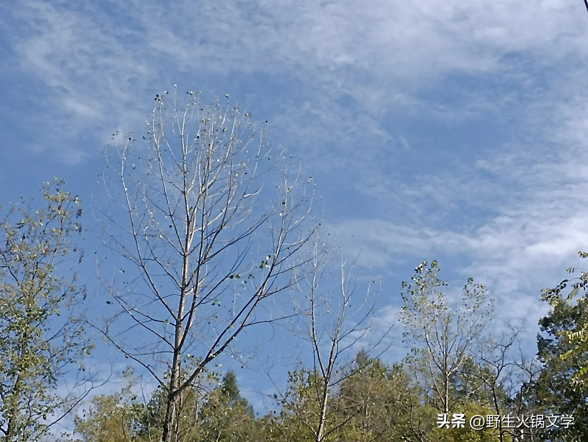 小G助手入口：新能源行业的前景与房地产不同，市场潜力、技术挑战与发展机遇解析
