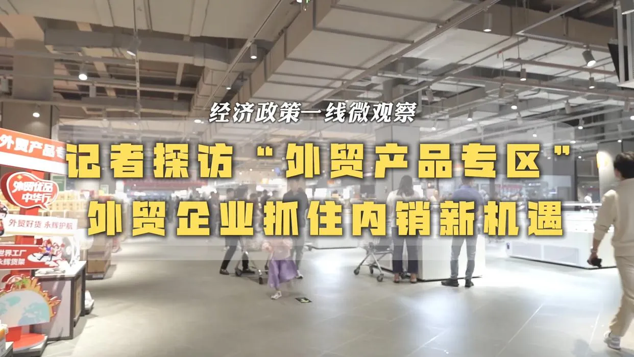 领航助手：外贸企业转型内销，掘金国内市场新机遇与挑战