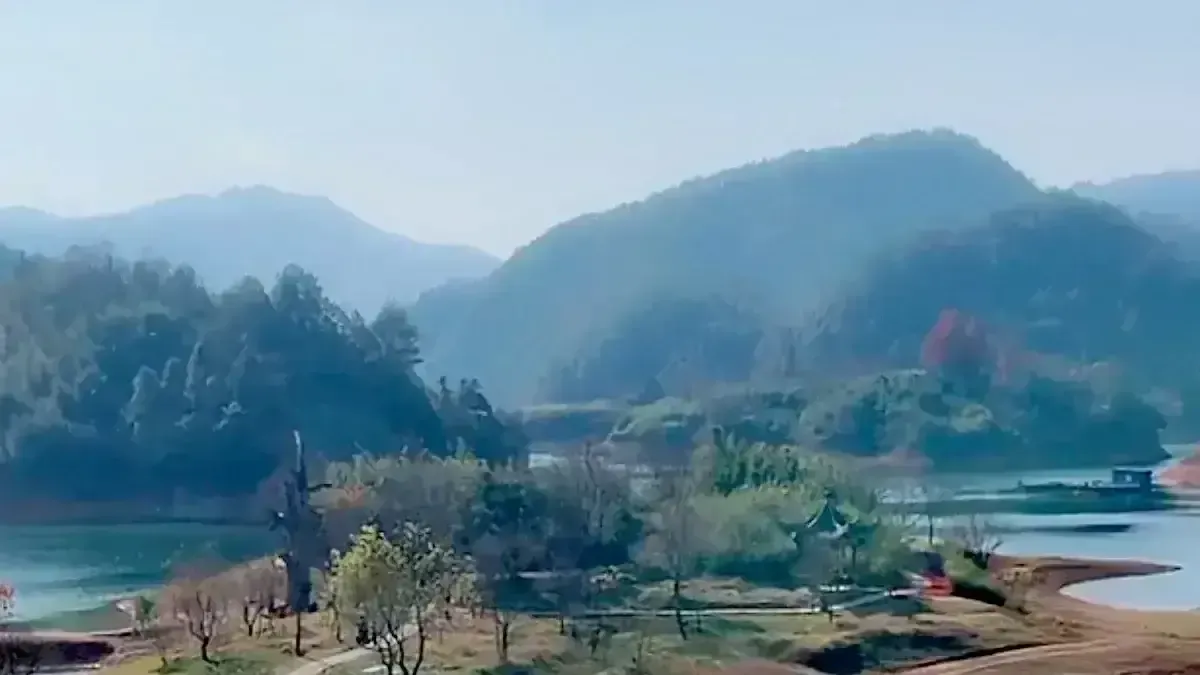 超单助手官网：揭秘直播间燕窝骗局，买到的竟是糖水和假货！
