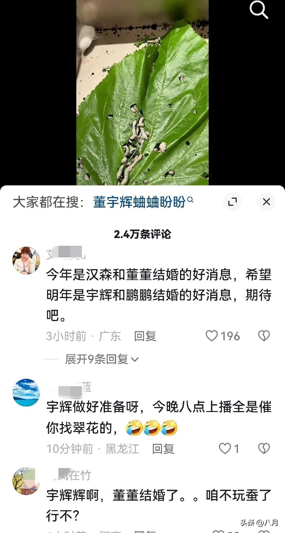 创优助手出评软件：董宇辉，如何将带货直播与茶文化相结合的知识型魅力