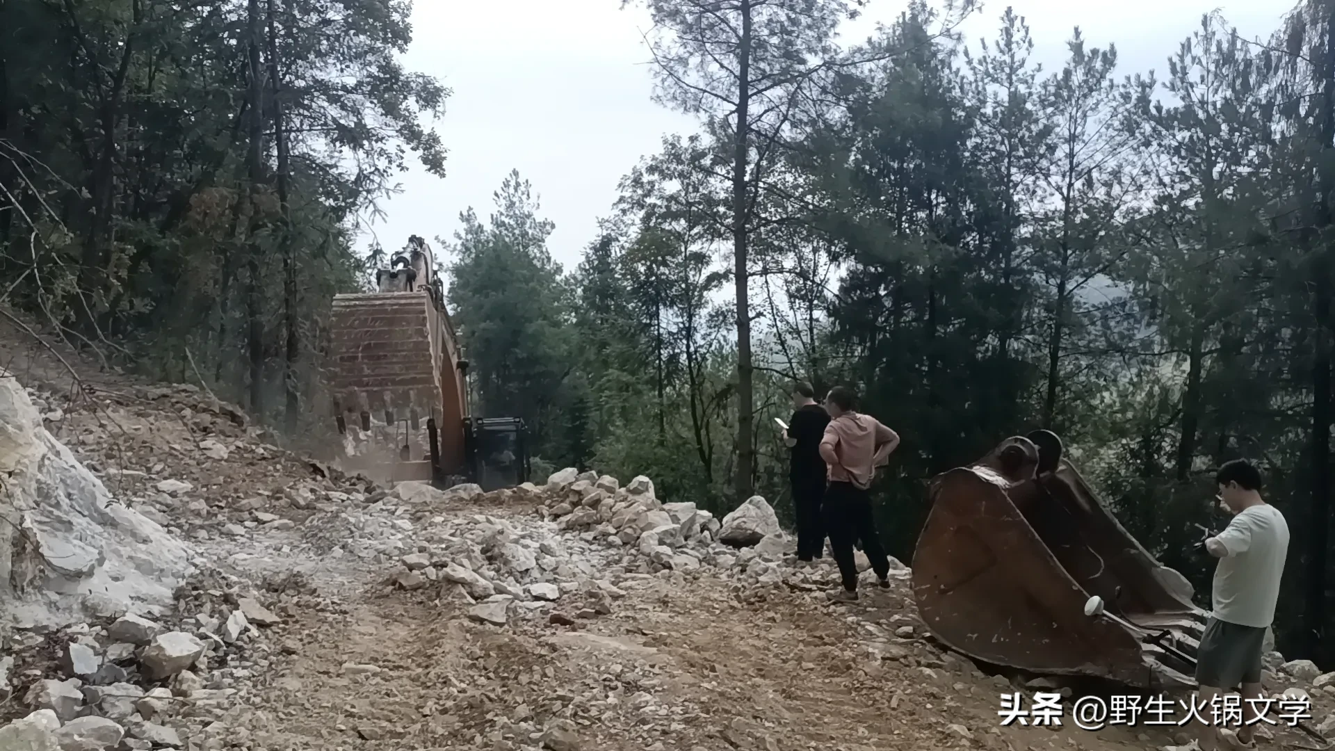 小G助手入口：新能源行业的前景与房地产不同，市场潜力、技术挑战与发展机遇解析