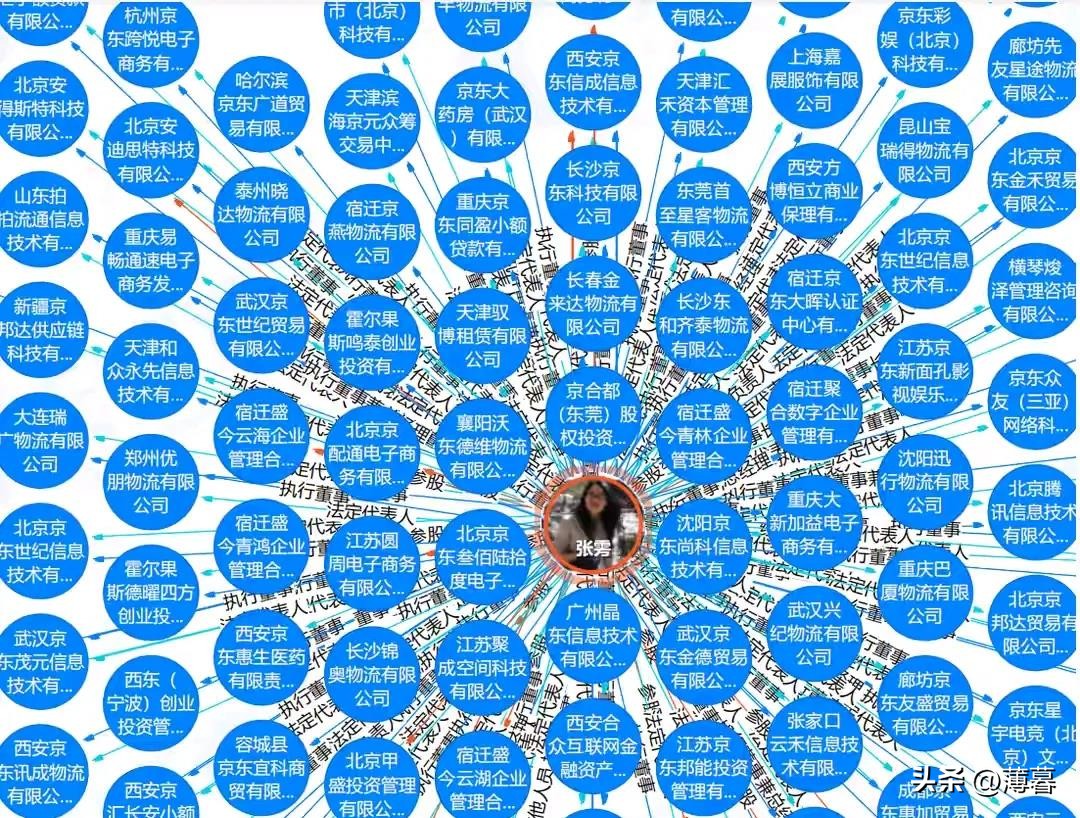 小评评助手下载安装：刘强东最信任的女人张雱，从助理到京东“老板娘”的传奇之路