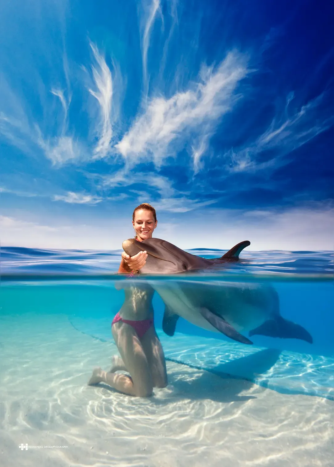 优选助手：海洋AI技术突破！谷歌发布DolphinGemma可实时翻译海豚语言
