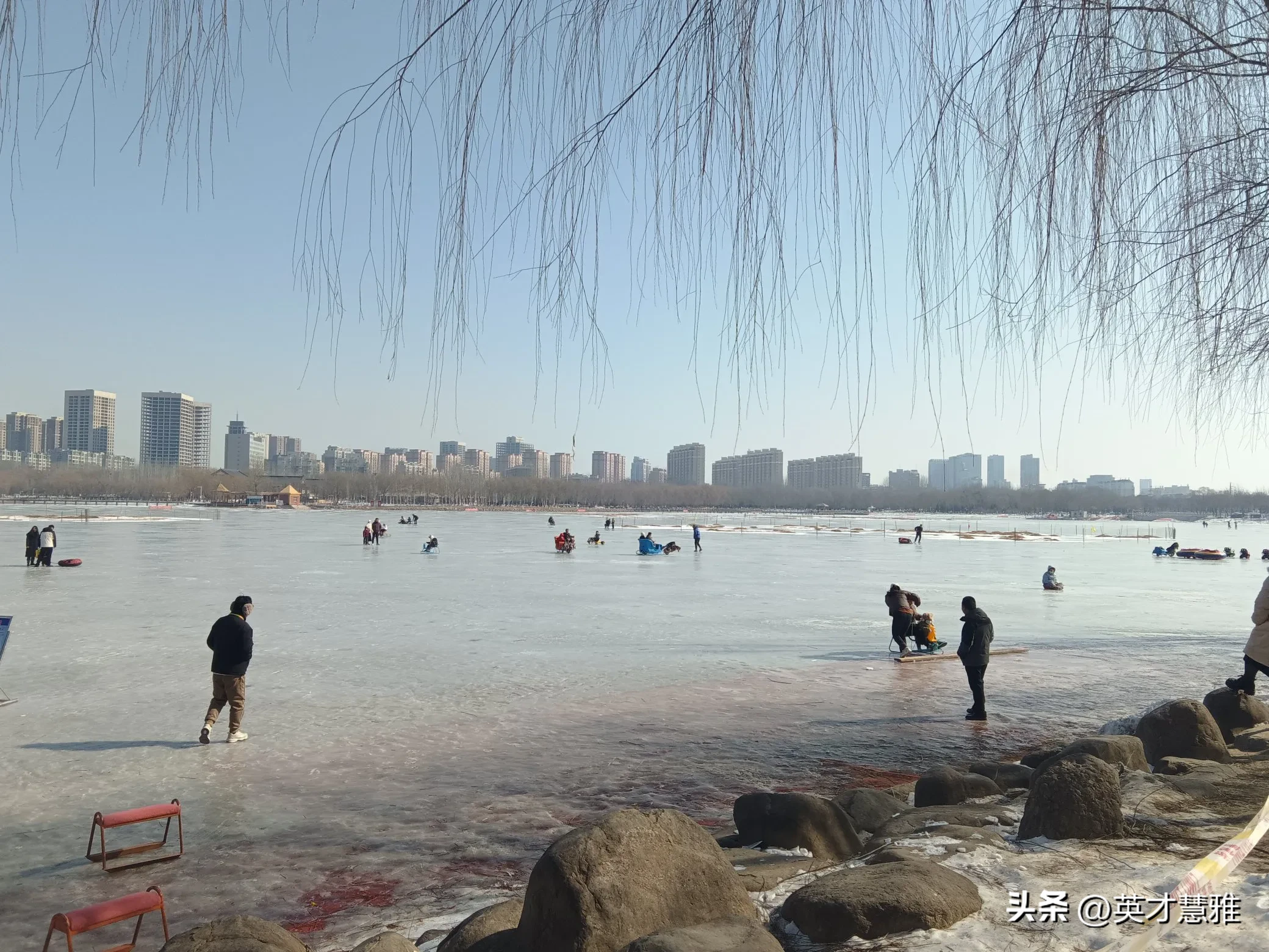 超单助手网站：董宇辉恋爱内幕揭秘，单身背后的故事与粉丝的期待