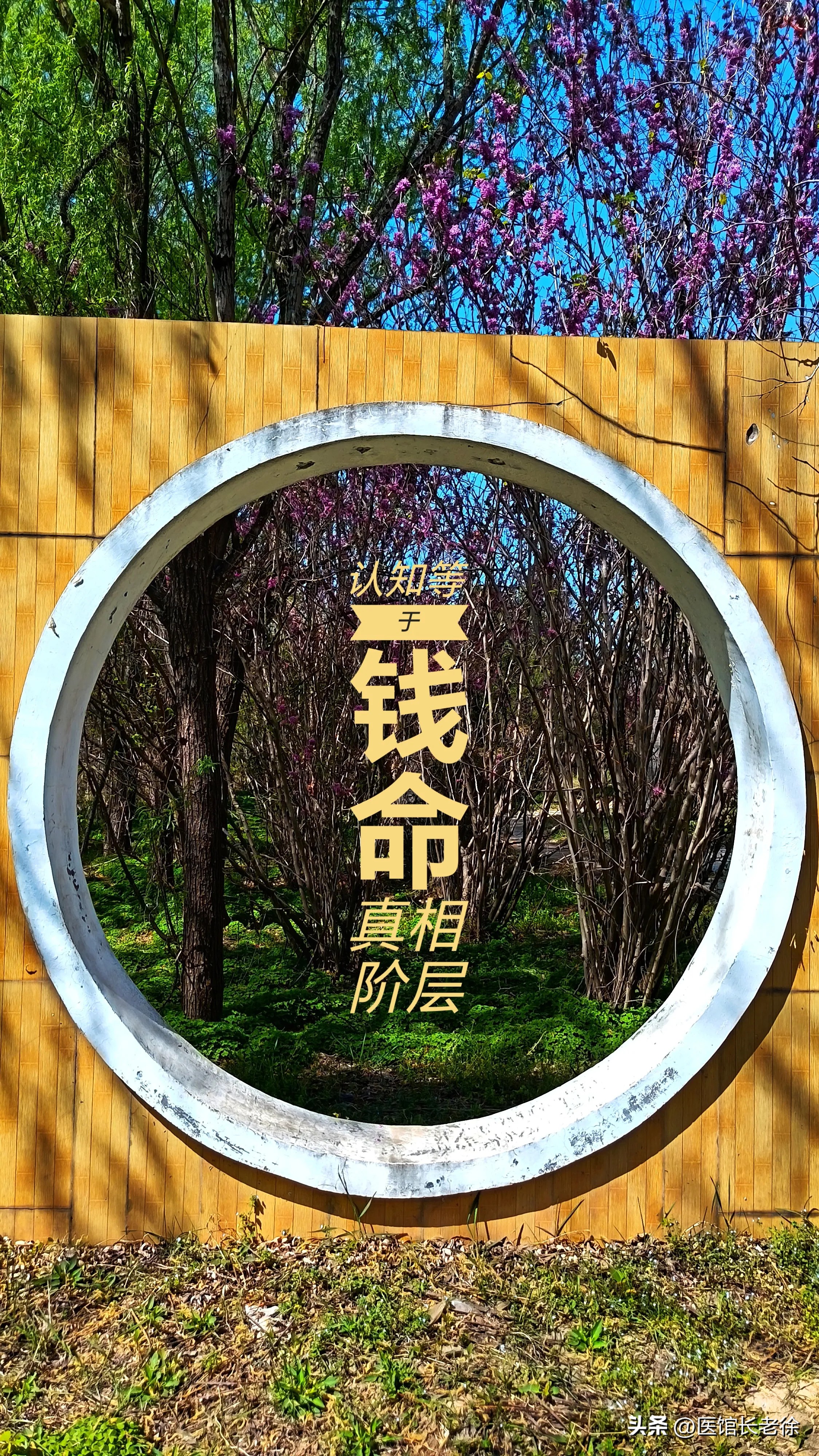 快火助手最新版本：中医馆如何抓住慢性疾病市场需求，实现医疗服务转型？