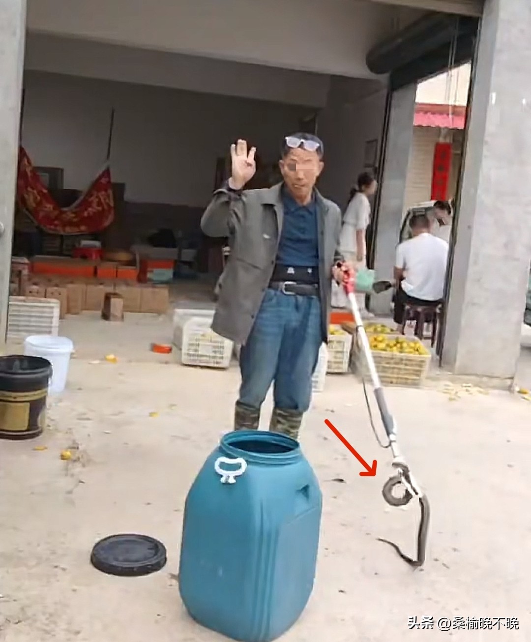 超评助手官网：湖南网红老尹被银环蛇咬后失联，网友早有提醒却未听从