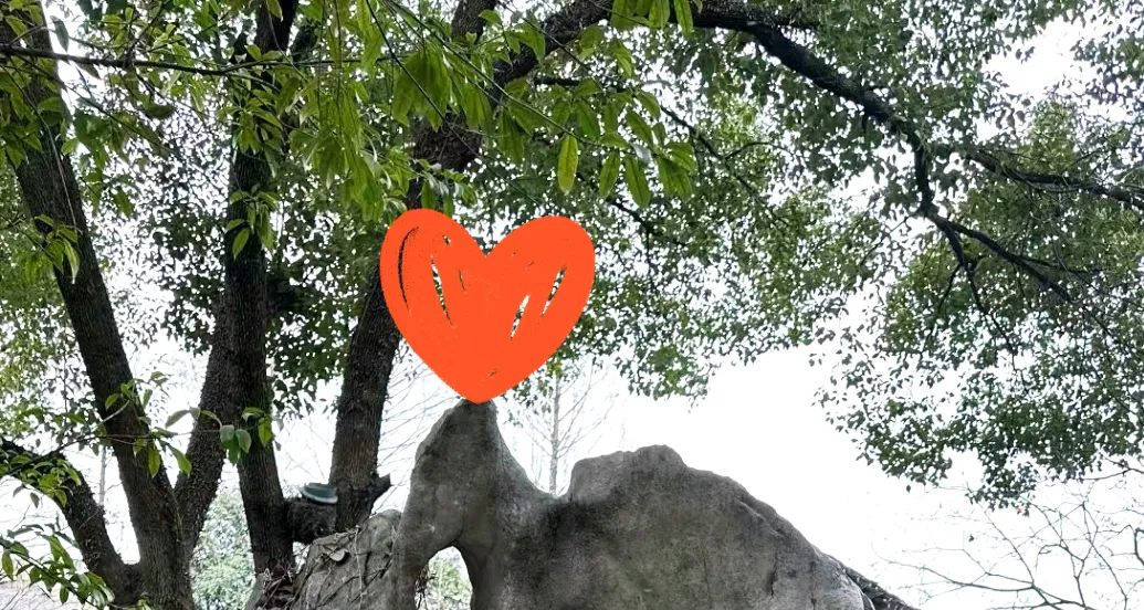 快火助手软件官网：善良与坚韧，年轻母亲的感人故事和温暖时刻