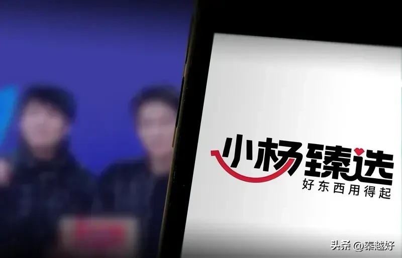 番茄助手：小杨哥开发APP卖货，88元会员制背后的商业逻辑与风险分析