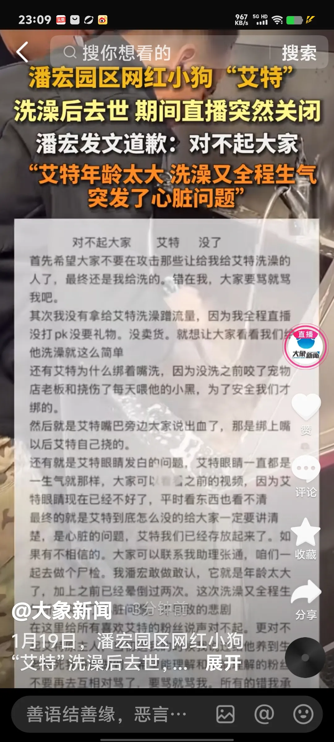 小G助手网站：潘红直播中网红狗艾特意外去世，网友深感惋惜与怀念