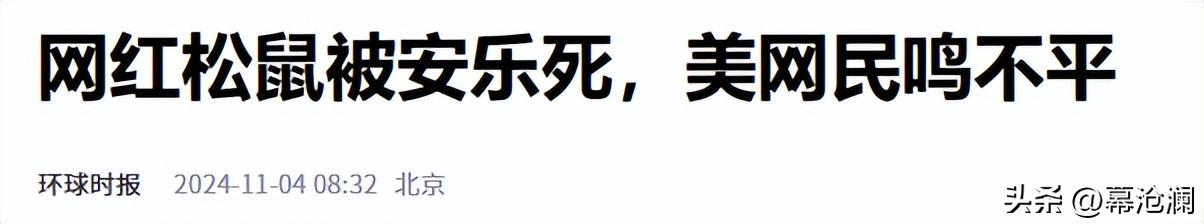 超单助手：花生松鼠之死，美国大选背后的意外变数与民众愤怒