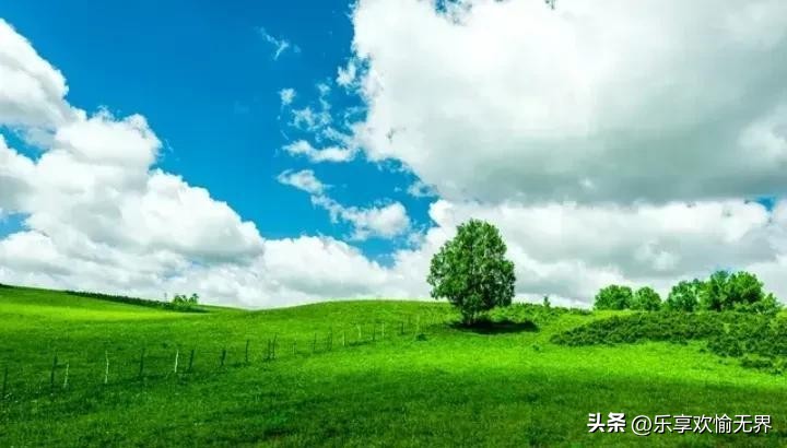 小U助手：有钱人不传的赚钱智慧，如何在生意中灵活应对与合作