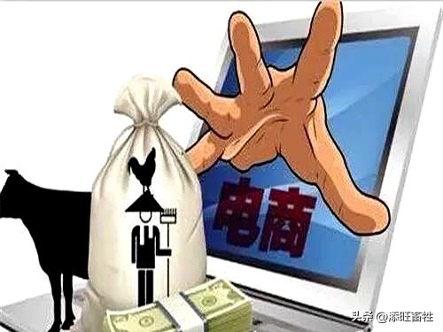 小G助手入口：电商低价冲击实体店，谁来保障普通人的生计？