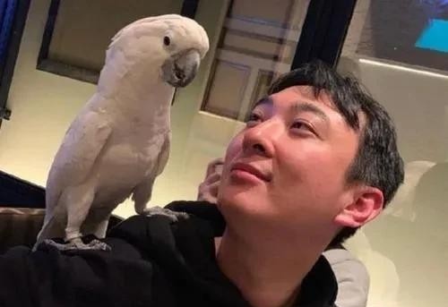 易单助手：王思聪的创业历程，从熊猫直播到投资争议，阔绰背后的故事