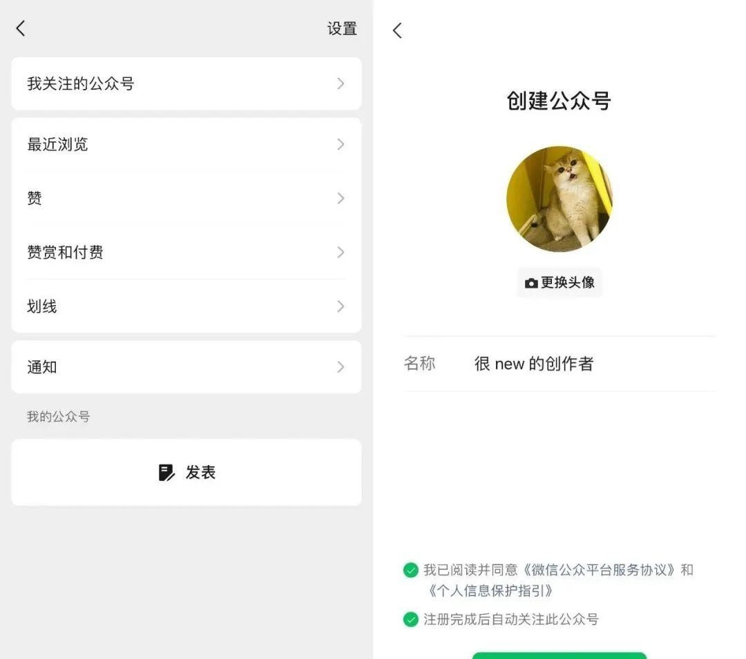 拼多多出评神器：微信公众号的自我救赎，从短视频崛起看内容平台的未来挑战与变革