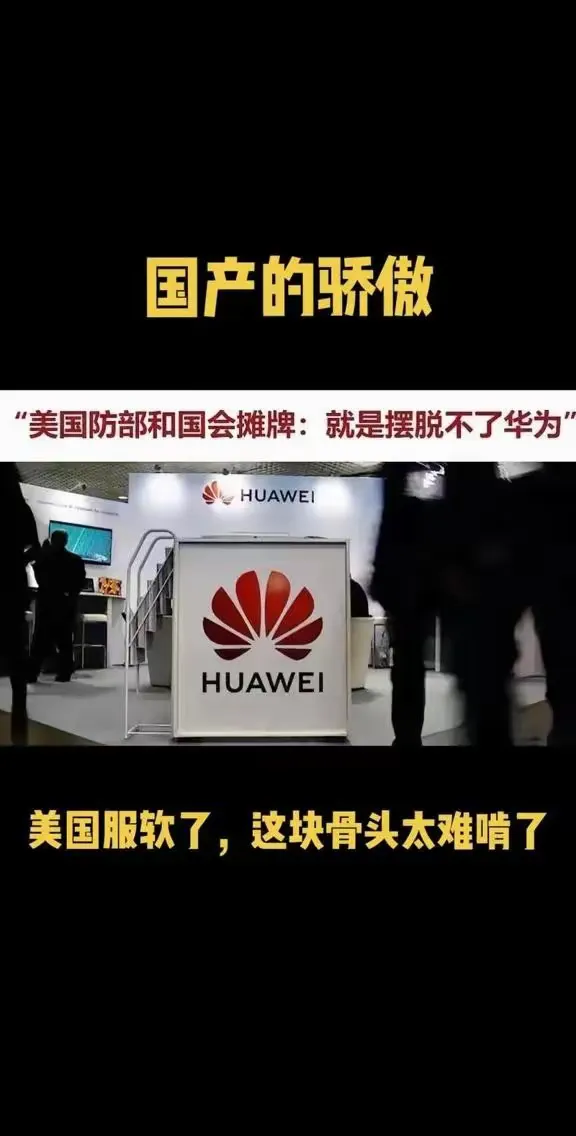 权重大师拼多多：华为创新力超越美国，芯片与AI研发成焦虑源