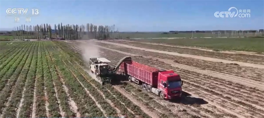 超单助手最新版本：新疆订单种植与机械化采收模式助力农户增收和效率提升