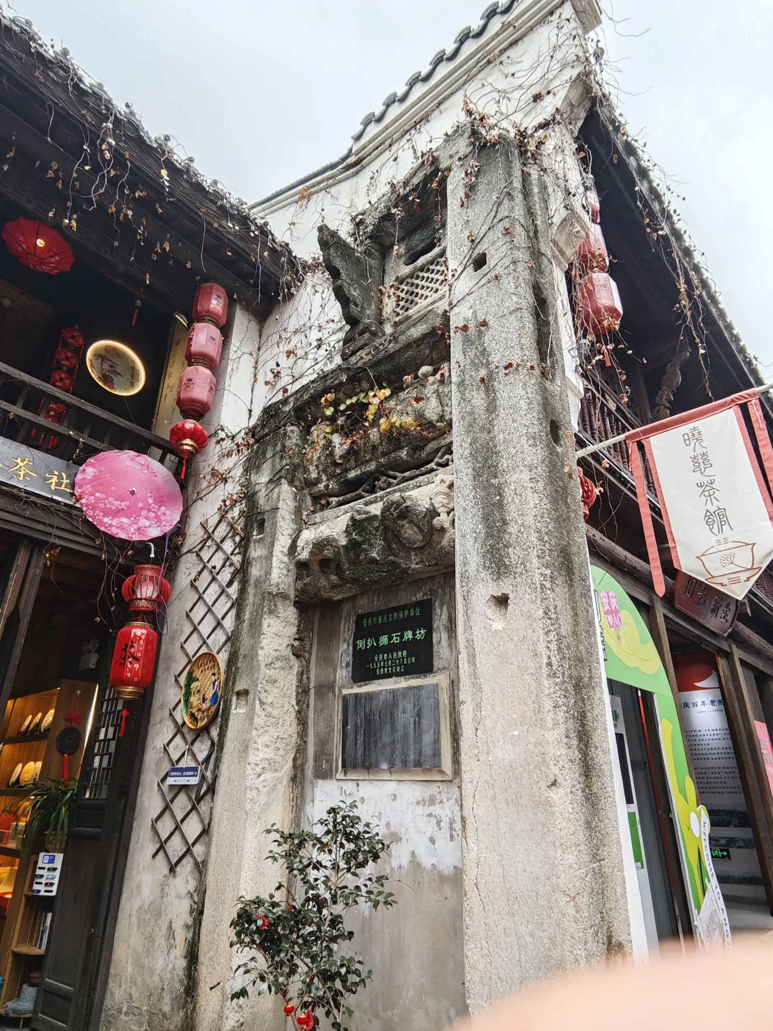 权重大师软件官网：在快节奏时代中寻找内心的宁静与快乐