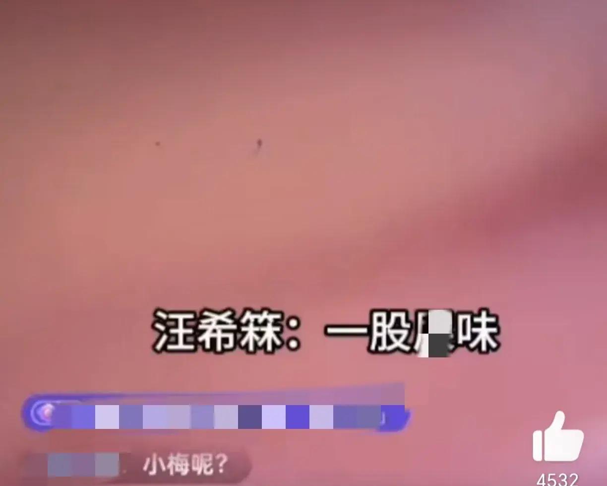 多多出评：汪小菲直播带货意外遭儿子“差评”，父子互动引发热议与销量双增