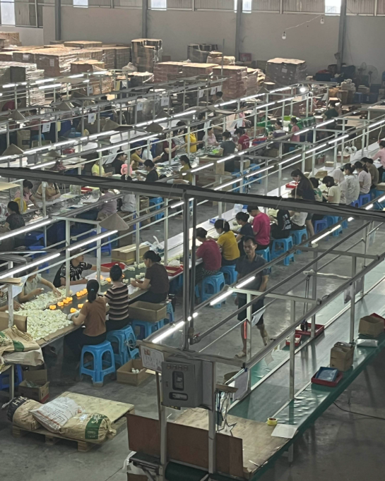 潜力鸭下载安装：越南发展面临挑战，人才短缺与电力不足制约未来增长