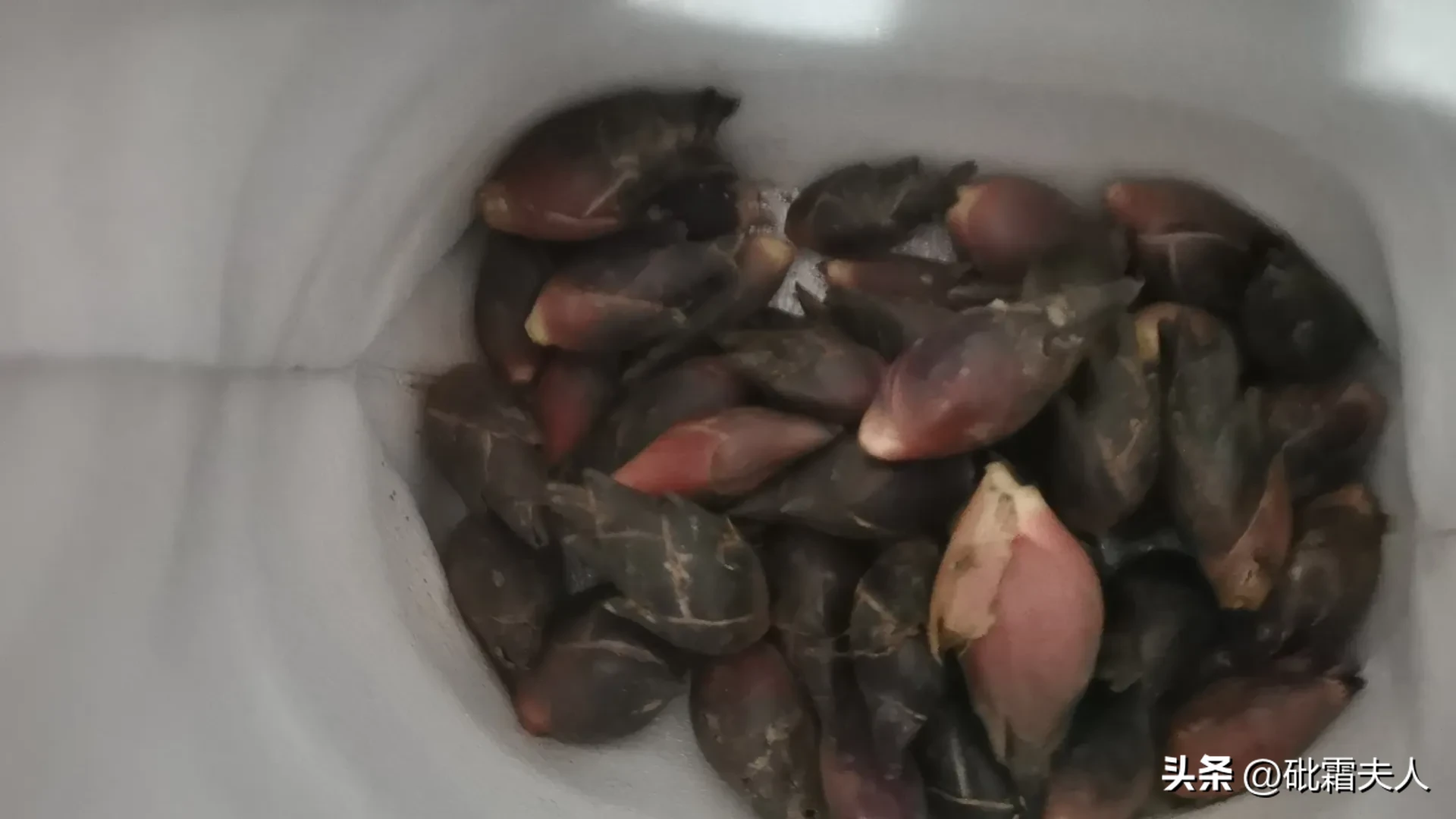 拼多多评价助手下载：重庆阳荷泡菜，姐姐的爱与酸水变色的秘密