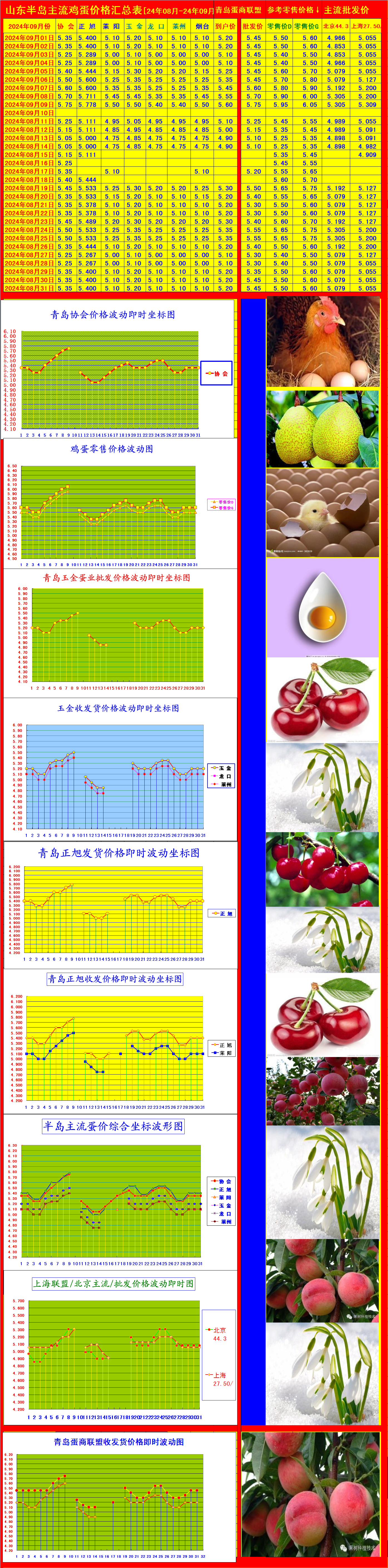 星评助手软件下载：山东今日鸡蛋价格行情，稳定上涨，超市零售5.95-6.05元／斤