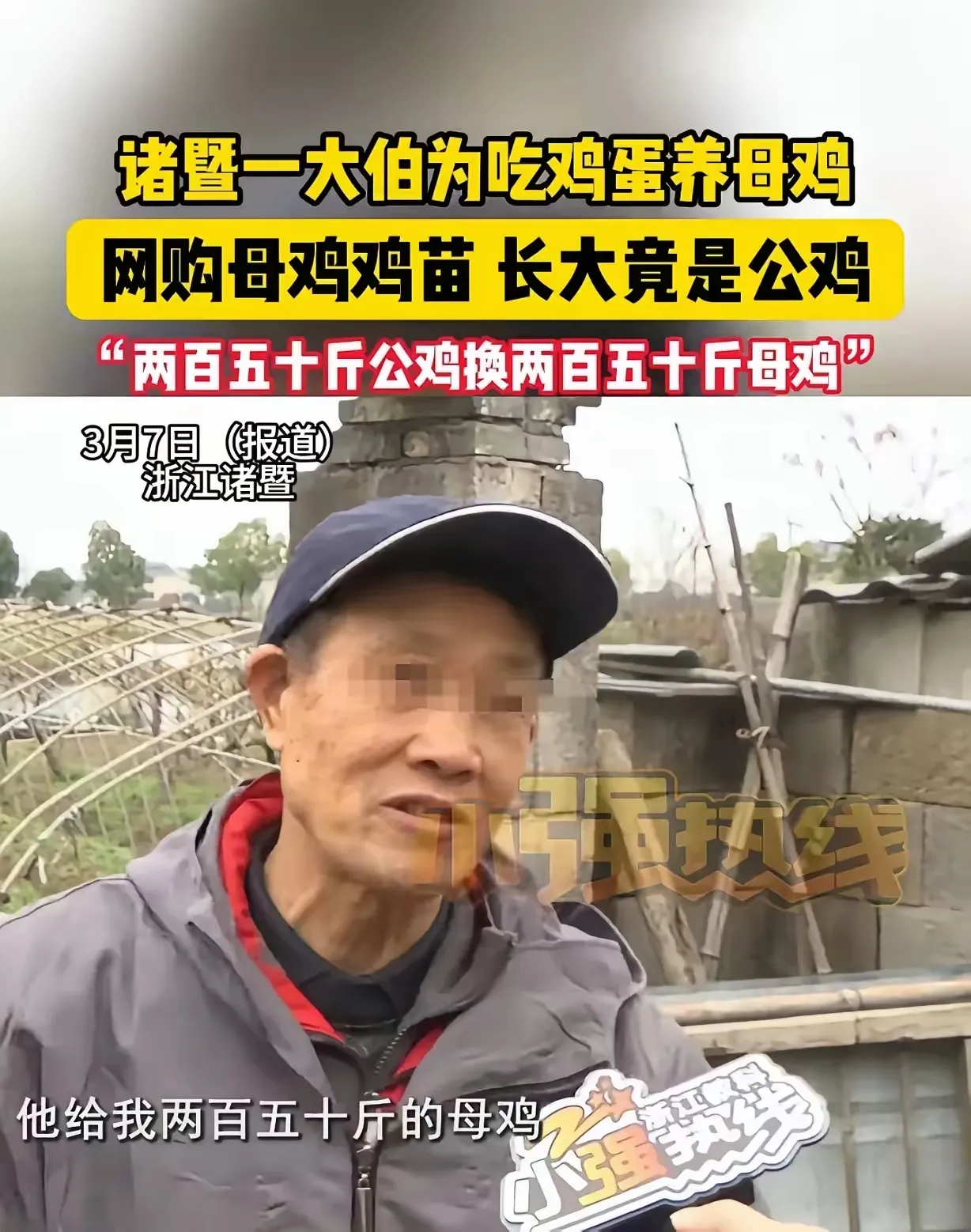 小G助手：网购公鸡换母鸡，陈大伯维权之路与消费者权益保护指南