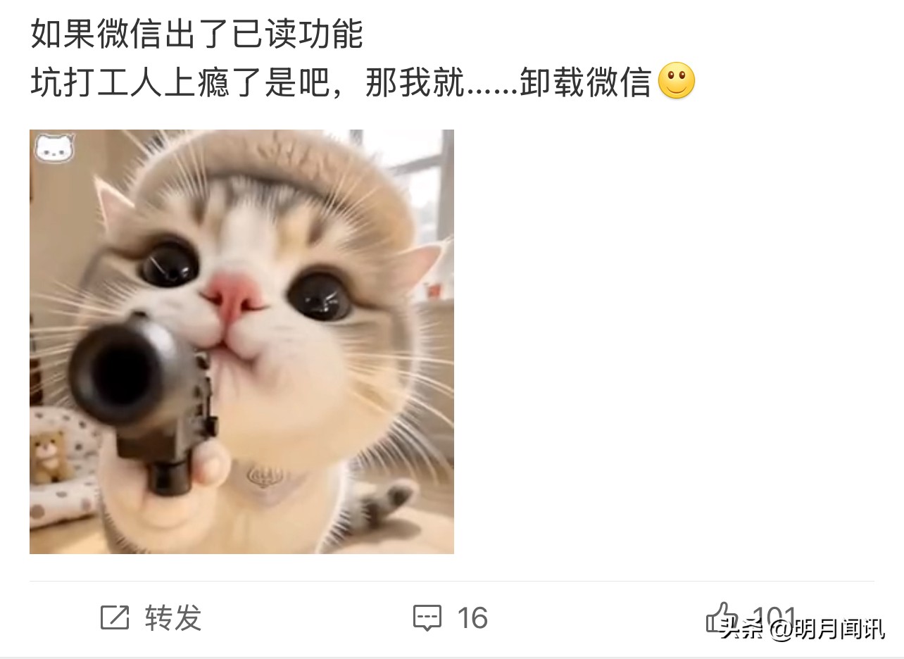 51助手卡密：微信内测已读功能引发热议，网友分歧，职场需求还是社交压力？