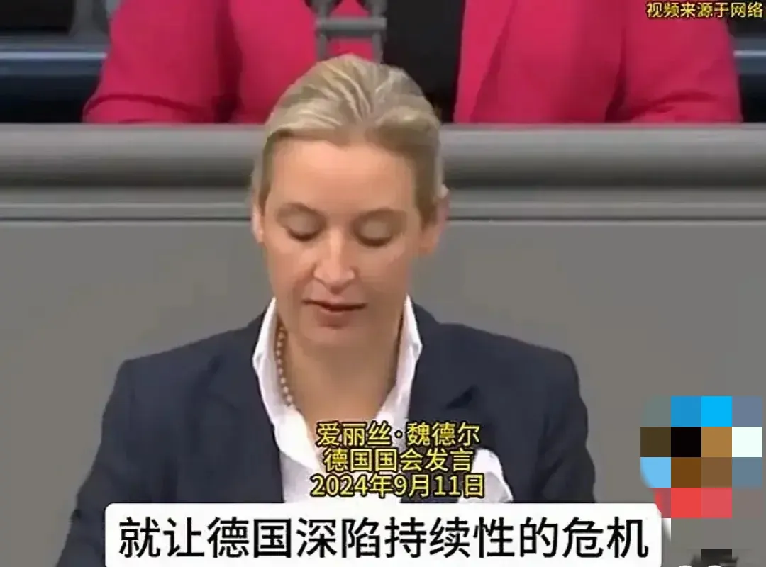 小评评助手下载官网：魏德尔直言批朔尔茨，德国经济危机与领导力缺失的深度反思