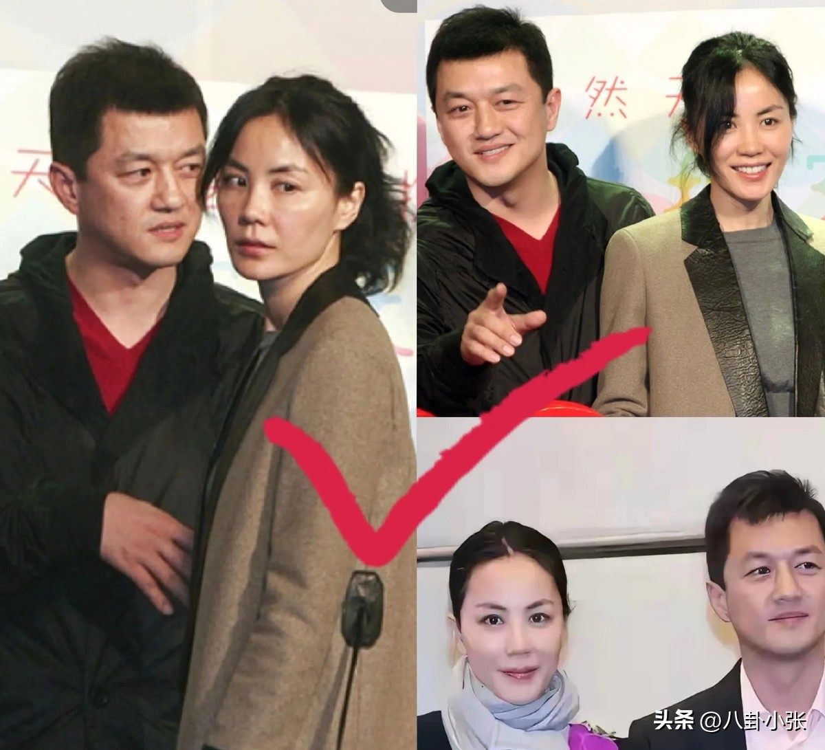 神龙助手：李亚鹏跨界投资遭遇困境，王菲心痛女儿成焦虑源