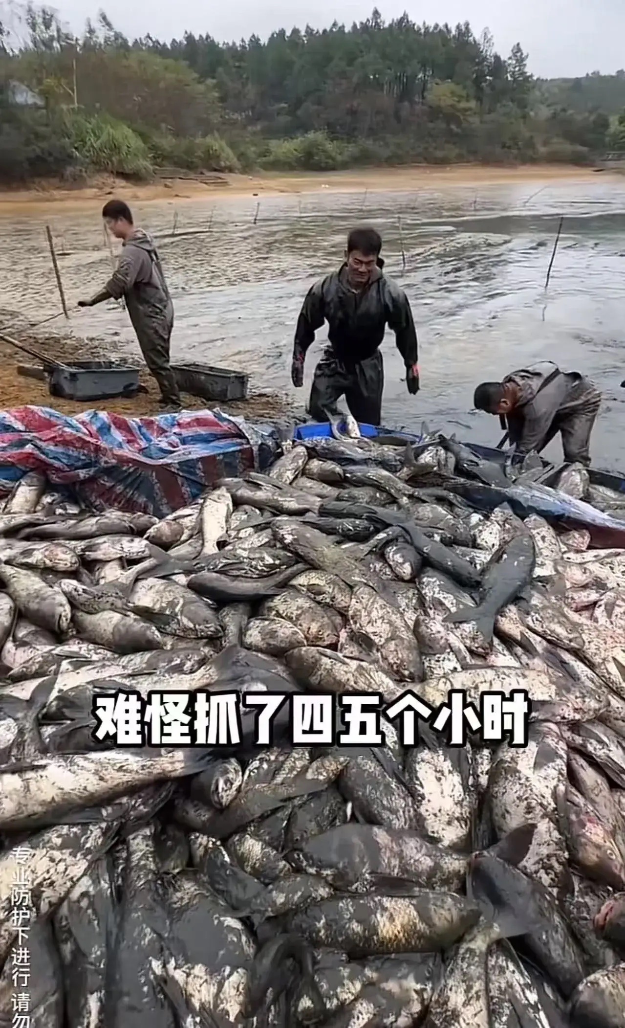易评助手：19岁孤儿为筹学费承包鱼塘，感人善举温暖社会