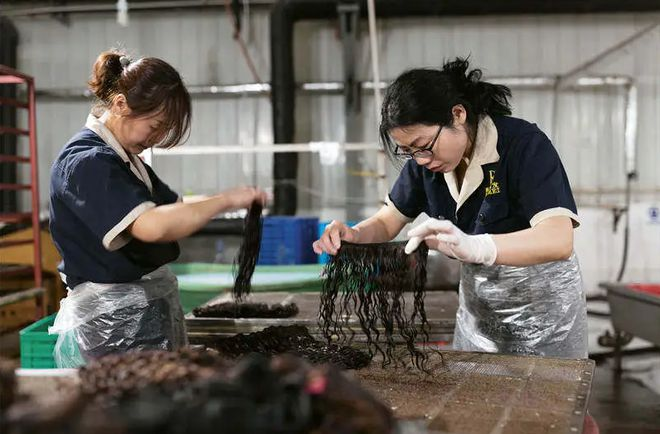 易评助手官网入口：朝鲜对华出口20亿背后，假发、煤炭等冷门商品的贸易链揭秘