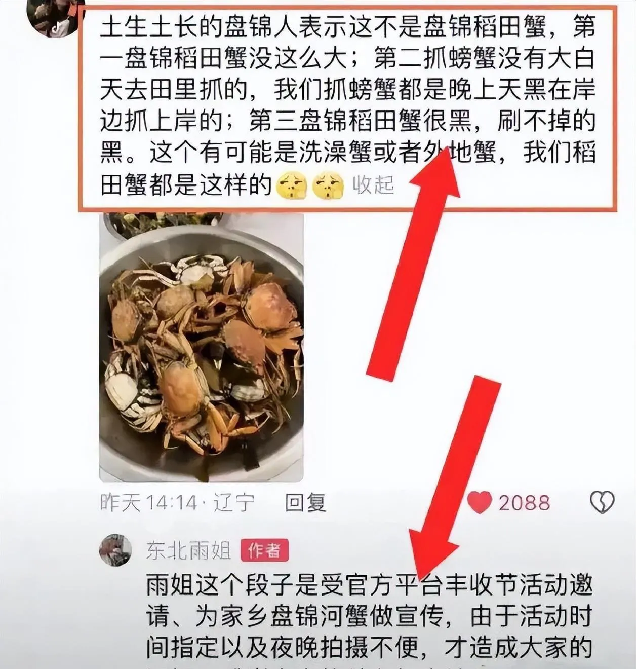 超单助手最新版本：东北雨姐“塌房”事件揭秘，短视频真实性引发的争议与反思