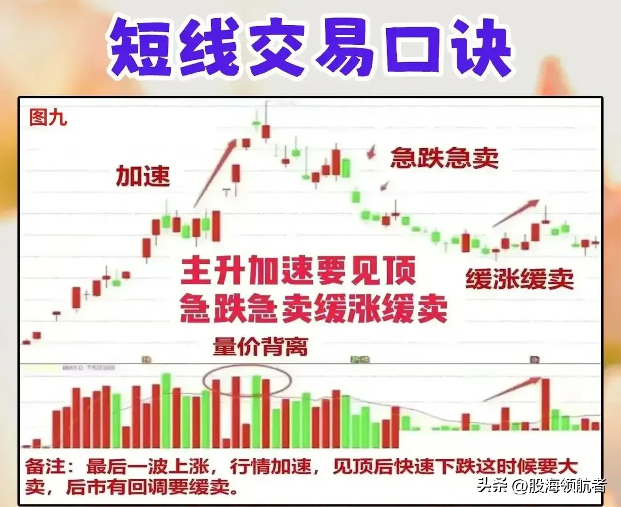 魅力狗下载安装：短线炒股16年经验分享，掌握9大技巧提升收益与风险控制