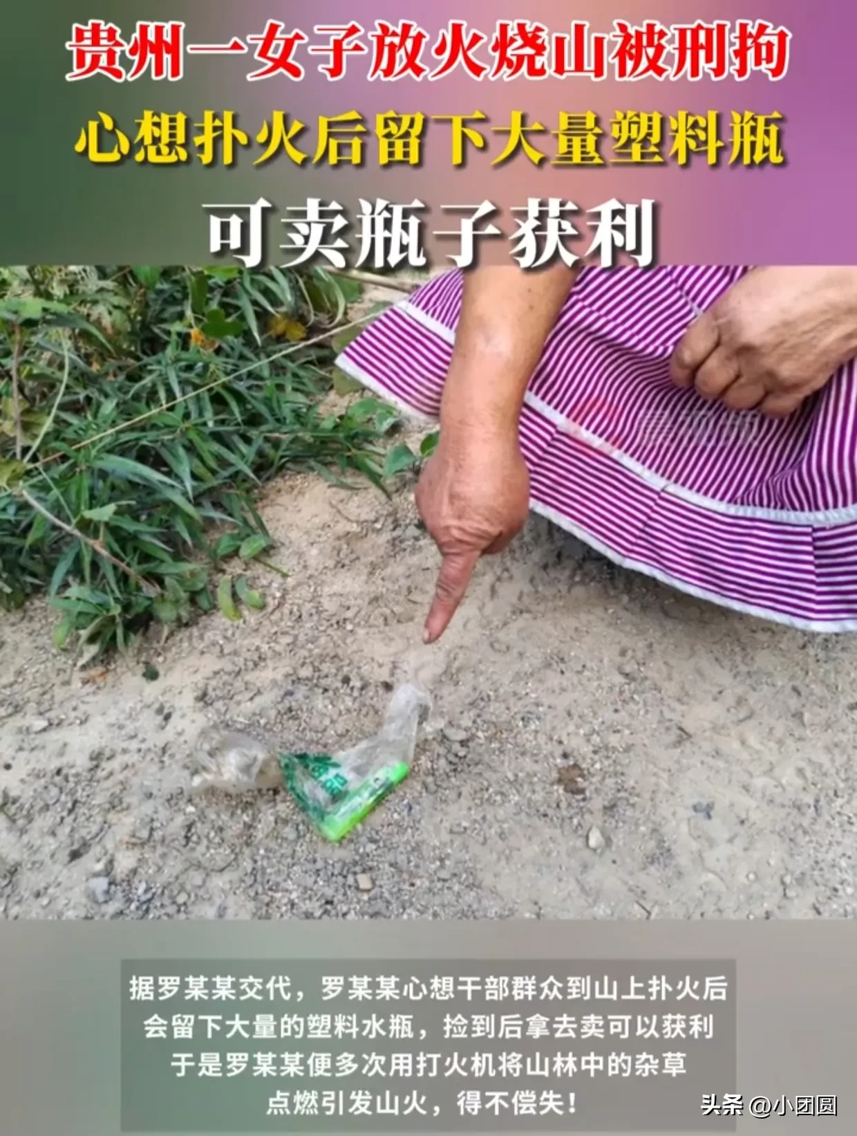 权重大师补单软件：放火烧山捡瓶子，愚昧行为引发的森林火灾与法律后果