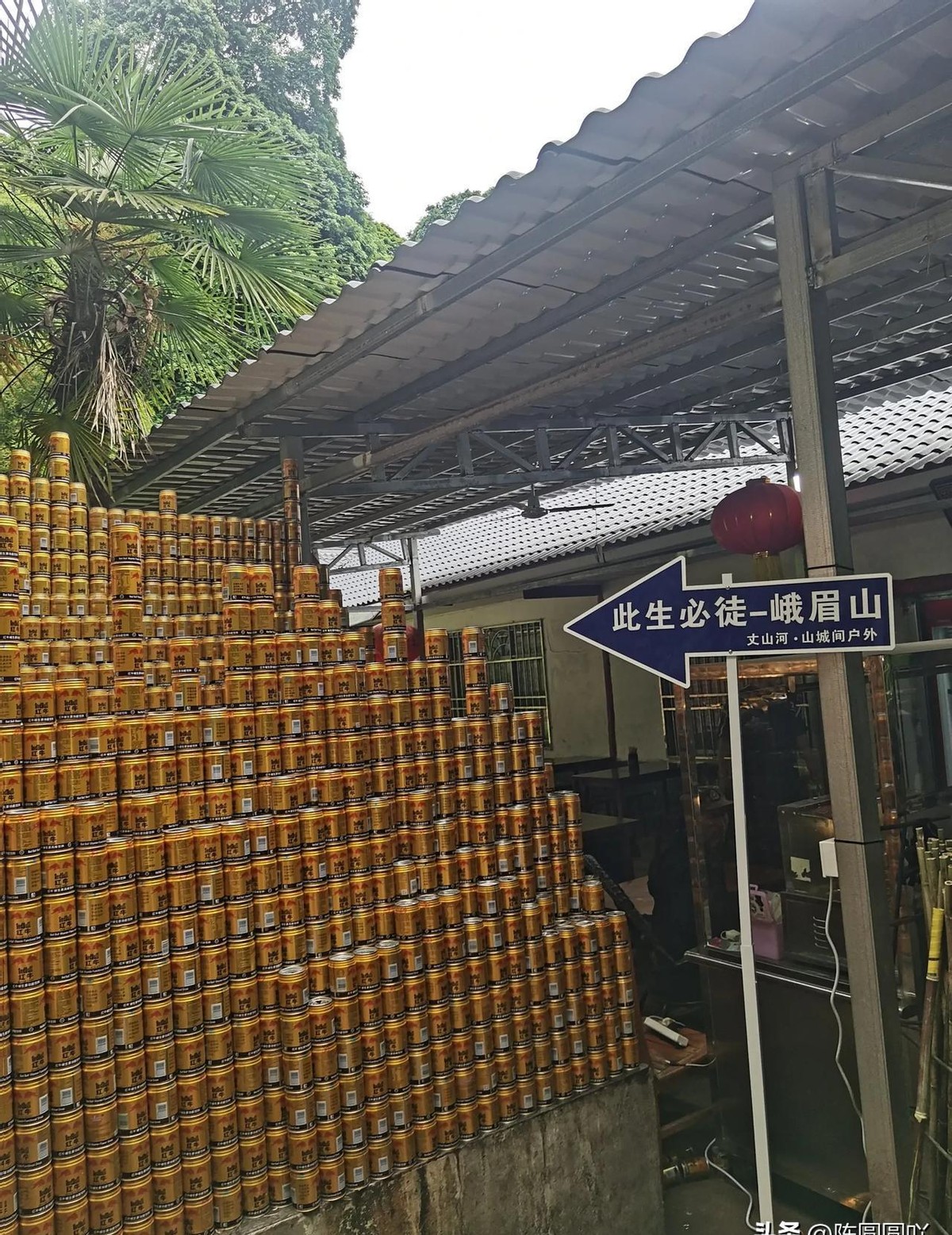 超单助手：都市人逃离996，在峨眉山享受半月工资换自由生活的故事