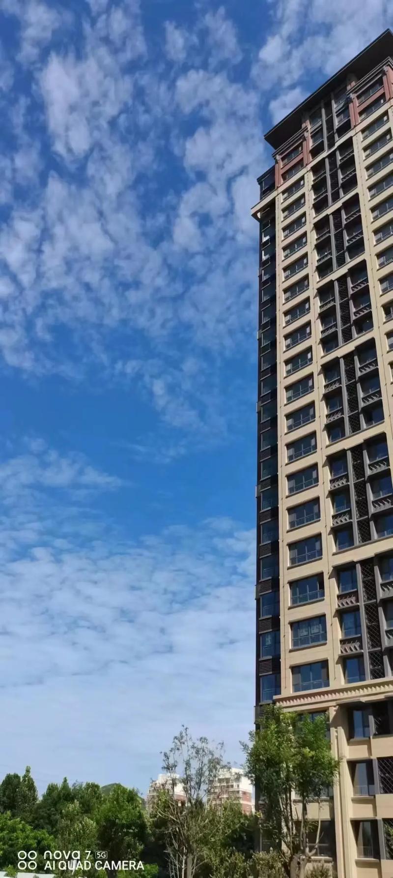 多多出评助手：洛阳买房全攻略，区位分析与楼盘性价比深度解析