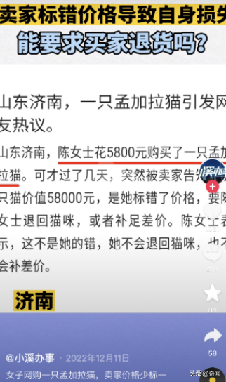 神龙助手：女子花5800元购猫，卖家要求补交52200元引发法律争议