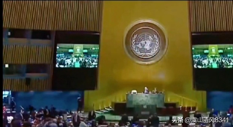要火助手：中国放弃WTO发展中国家待遇影响分析，外贸困境与应对策略解读