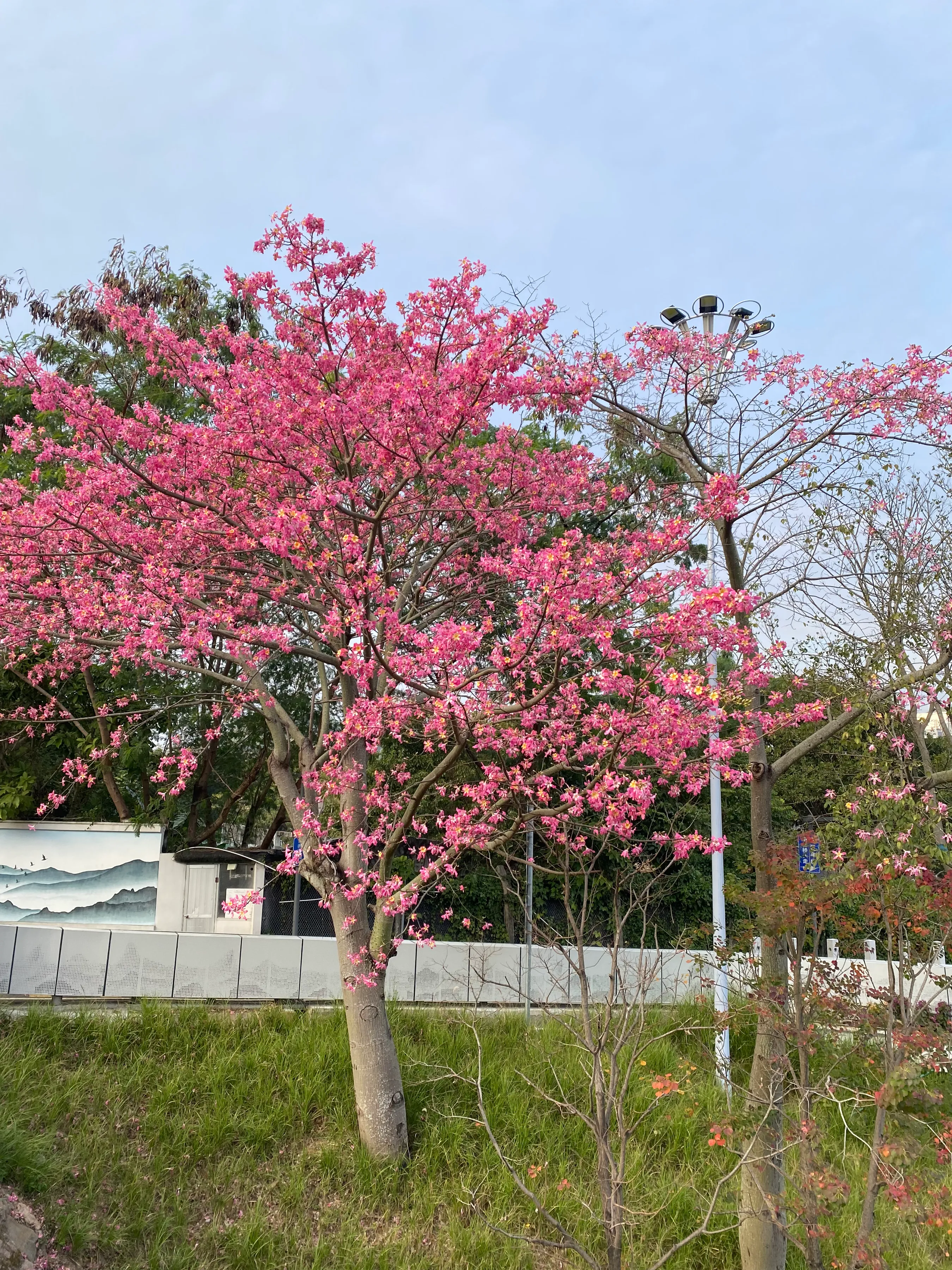 小G助手卡密：私域流量管理，如何在激烈竞争中实现低成本高复购的商业转型