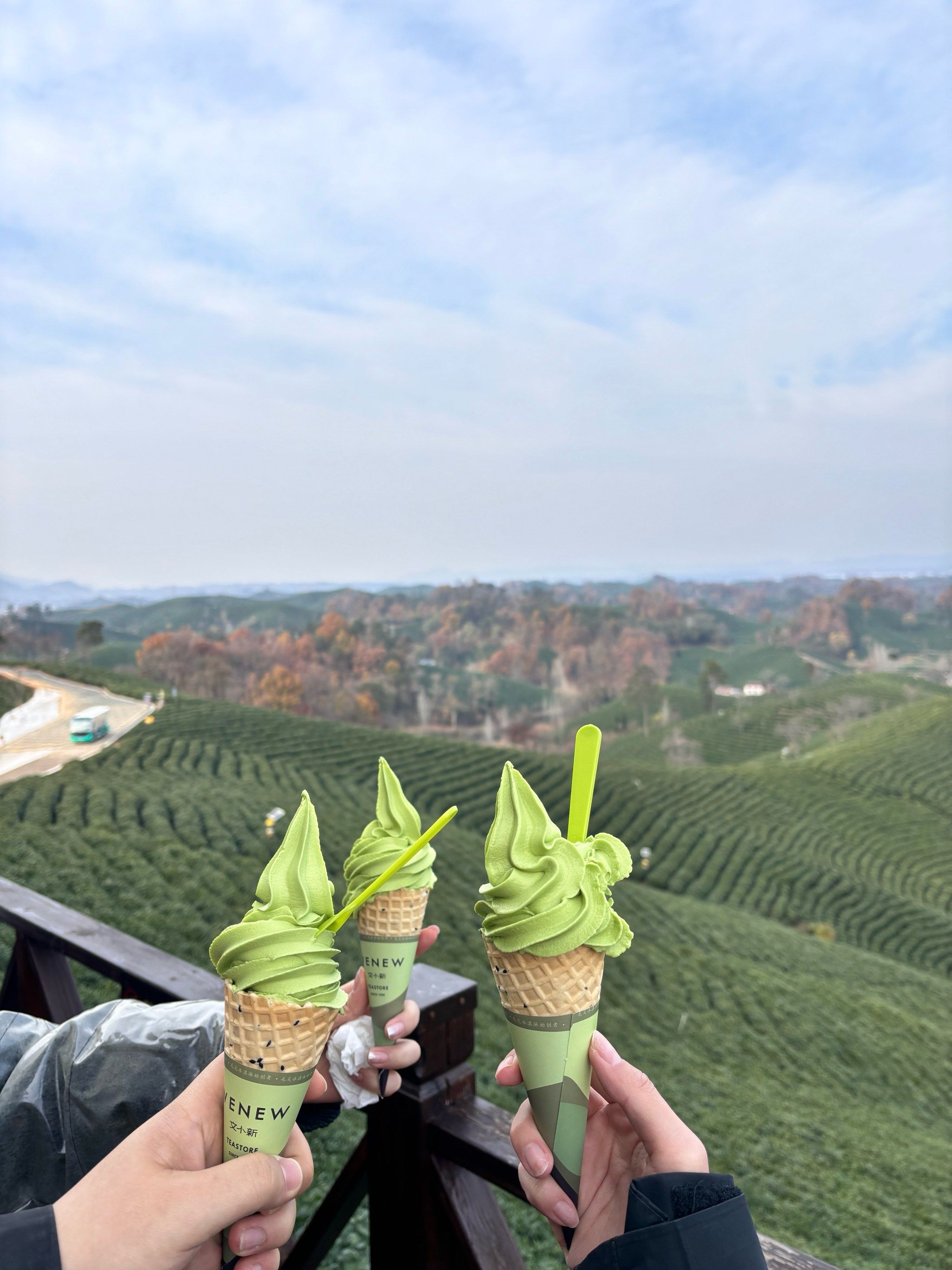 熊猫多多助手网站：信阳市文新茶园，融合茶文化与体验经济的成功案例