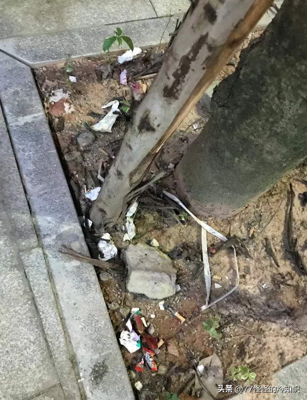 新小x助手：网红主播惹众怒，丢杯事件引发保洁员遭遇暴力与社会反思