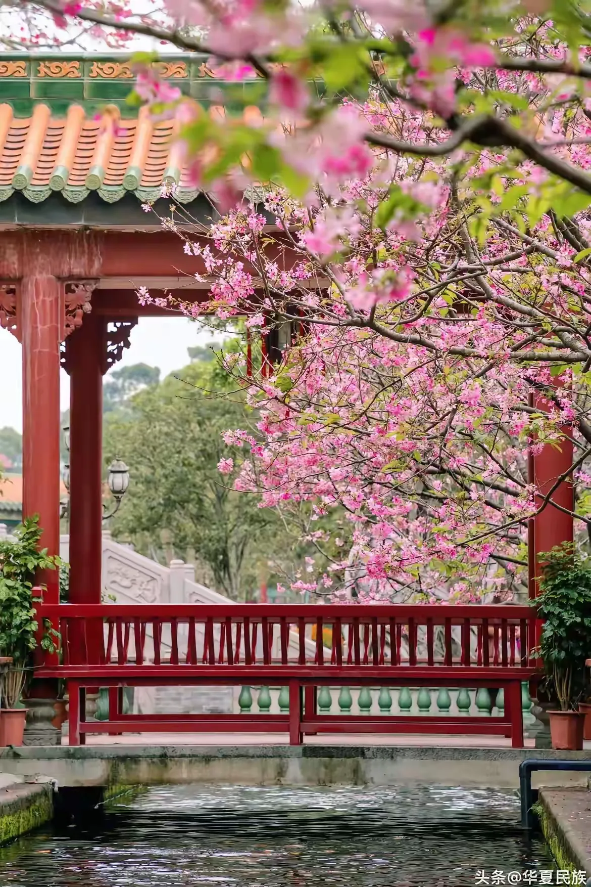 易评助手官网入口：深圳跨境电商新政解读，百万补贴助力企业合规转型与出海