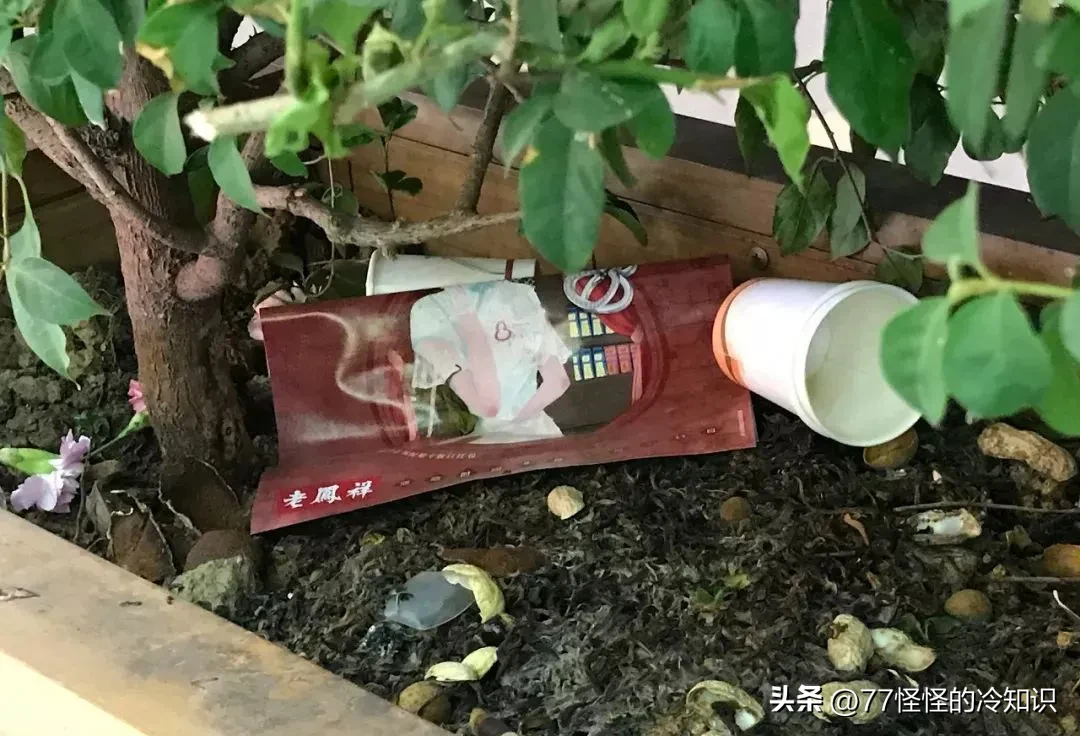 新小x助手：网红主播惹众怒，丢杯事件引发保洁员遭遇暴力与社会反思